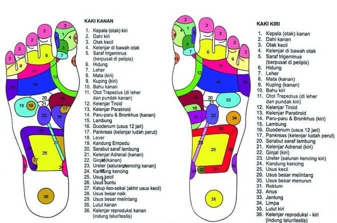 Titik-titik Refleksi Kaki. (foto: ist/palontaraq)