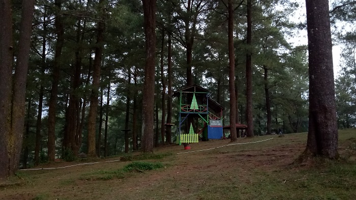 Berkunjung ke Hutan Pinus Malino. (foto: ist/palontaraq)