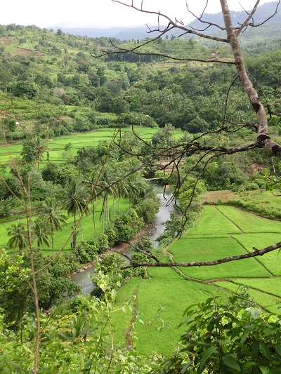 Dari atas bukit, nampak sungai dan kawasan persawahan yang menghijau. (foto : mfaridwm).