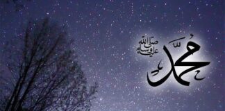 Membaca Syamail Nabi (1): Peneropongan Kognisi Islam