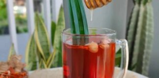 Ikhtiar Herba untuk Mengobati Asma Resep Obati Asma