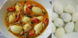 Kuliner: Gulai Cumi Isi Telur Puyuh Gulai cumi isi telur puyuh