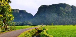 Kontribusi Arkeologi dan Epigrafi dalam Studi Sejarah Pemandangan alam menuju kawasan wisata prasejarah Belae, Minasatene-Pangkep. (foto: ettaadil/*)